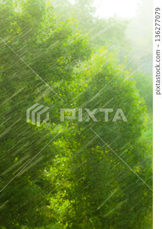 Rainy outside window green background texture. Rainy outside window green background texture. 136277079