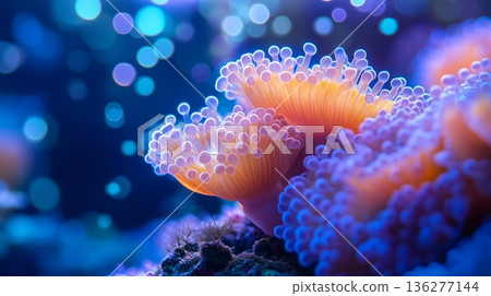 Vibrant underwater scene featuring colorful coral with glowing tentacles, surrounded by shimmering bubbles, creating a mesmerizing aquatic atmosphere and showcasing marine beauty 136277144