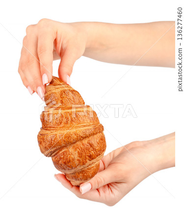 Fresh croissant held in female hands isolated on white background 136277460