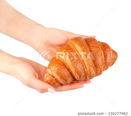 Fresh croissant held in female hands isolated on white background 136277462