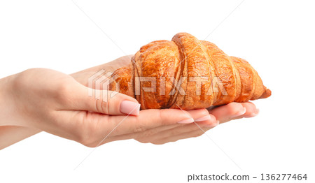 Fresh croissant resting on female hands isolated on white background 136277464