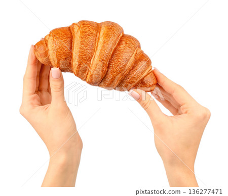 Croissant held with both hands isolated on white background 136277471