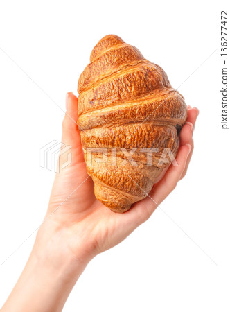 Fresh croissant held in hand isolated on white background 136277472