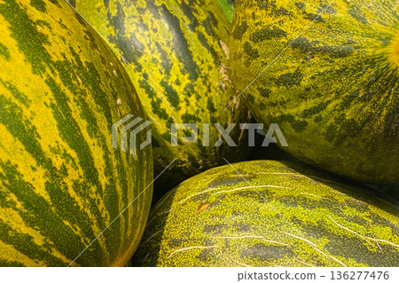 Vibrant Green and Yellow Striped Melons 136277476