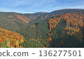 Autumn Jeseniky forest of Spruce Picea and Beech Fagus sylvatica beautiful landscapes nature color season amazing scenic and colorful trees fall of the leaf top shot aerial view autumnus mountain 136277501