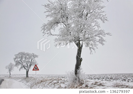 a red and white traffic sign warning of a winding road in winter countryside a red and white traffic sign warning of a winding road in winter countryside 136279397