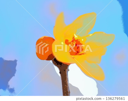 Transparent wintersweet flowers (afr20260128110449) Transparent wintersweet flowers (afr20260128110449) 136279561