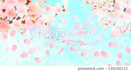 Background material of cherry blossoms with falling petals 136280112