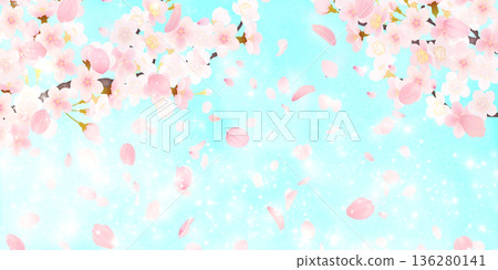 Background material of cherry blossoms with falling petals 136280141