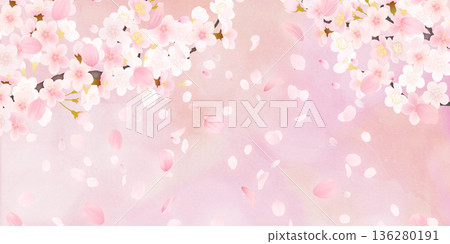 Background material of cherry blossoms with falling petals 136280191