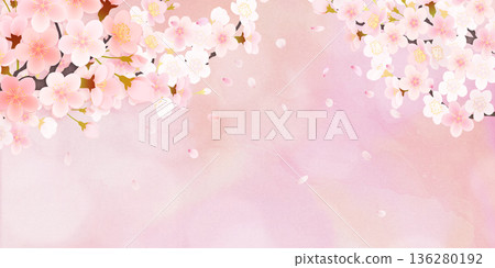 落花櫻花背景素材 136280192
