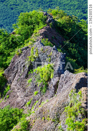 從戶隱山攀登途中可以看到螞蟻過馬路的景象。 136280516