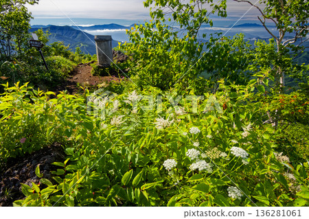 Summer scenery at the summit of Mount Togakushi and Mount Happo-Nira 136281061