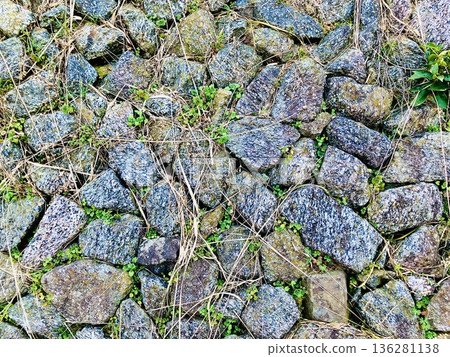 stone wall with grass 136281138