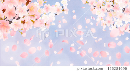 Background material of cherry blossoms with falling petals Background material of cherry blossoms with falling petals 136281696