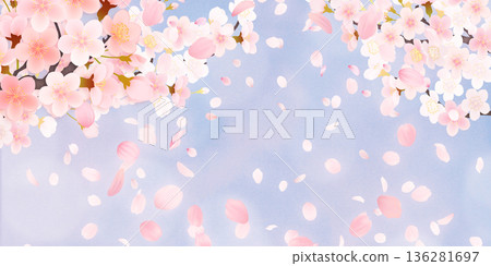 落花櫻花背景素材 136281697