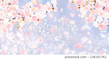 Background material of cherry blossoms with falling petals 136281762