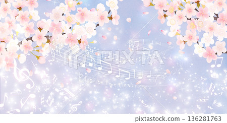 落花櫻花背景素材 136281763