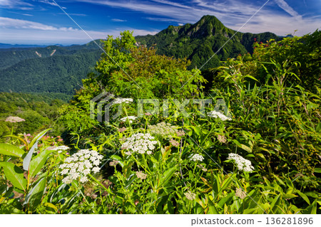 Mt. Togakushi with blooming alpine plants and Mt. Takatsuma seen from Happo-Nira Mt. Togakushi with blooming alpine plants and Mt. Takatsuma seen from Happo-Nira 136281896