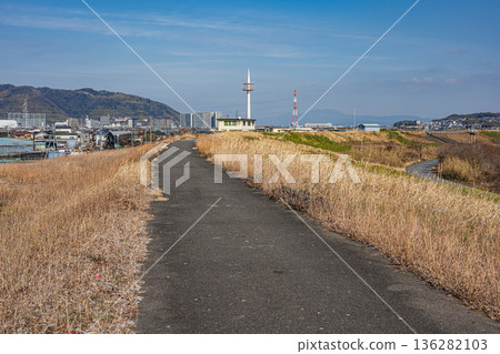 大阪府高槻市淀川右岸長廊 大阪府高槻市淀川右岸長廊 136282103