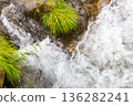 一條湍急的山澗流過綠草和岩石。 136282241