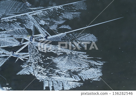 Ice pattern on the park pond Ice pattern on the park pond 136282546