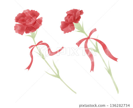一幅帶有絲帶的紅色康乃馨插圖 136282734