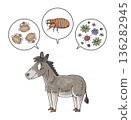 Donkeys and parasites (mites, fleas, and pathogens) 136282945
