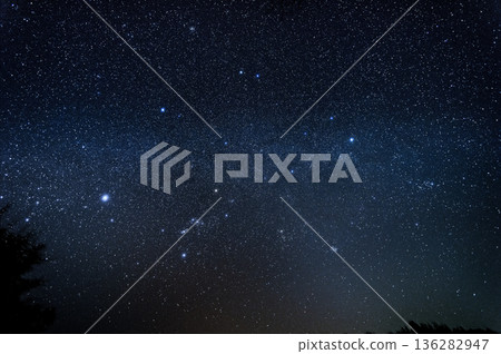 鑽石在冬天 136282947