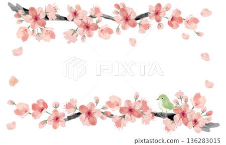 Watercolor cherry blossom and nightingale frame 136283015
