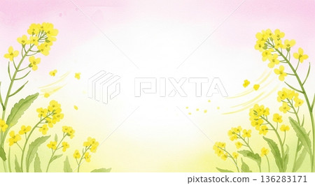 Background frame margin depicting rape blossoms and spring fields Background frame margin depicting rape blossoms and spring fields 136283171