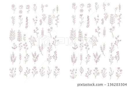 A simple set of hand-drawn plant parts. 136283304