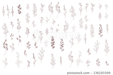 Hand drawn plant parts set. Hand drawn plant parts set. 136283309