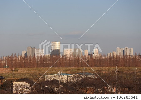 從埼玉縣富士見市婬沼自然公園的觀景台上眺望的景色 136283641