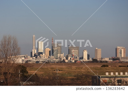 從埼玉縣富士見市婬沼自然公園的觀景台上眺望的景色 136283642