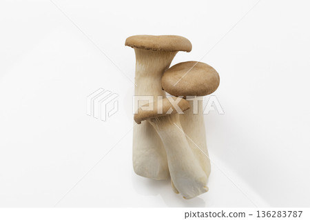 白背eryngii 白背eryngii 136283787