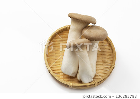 白背eryngii 136283788