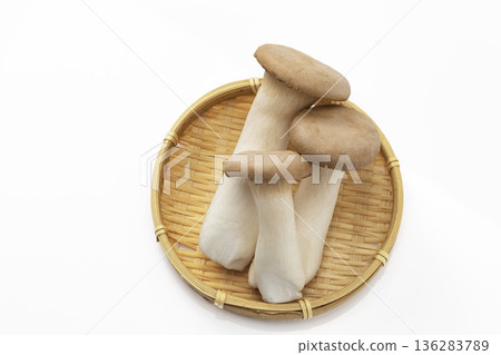 白背eryngii 136283789