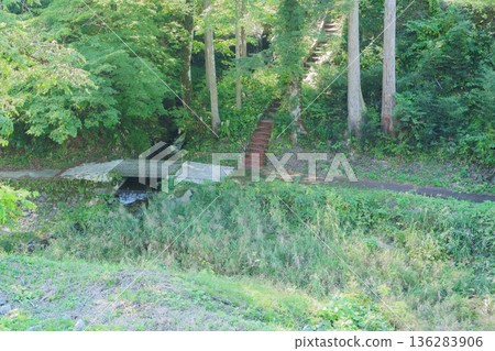 Stairs leading to a promenade surrounded by greenery Stairs leading to a promenade surrounded by greenery 136283906
