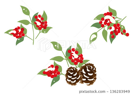 一組以南天竹雪為主題的插畫。 136283949