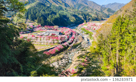 Hanamo no Sato Hanamo no Sato 136283971