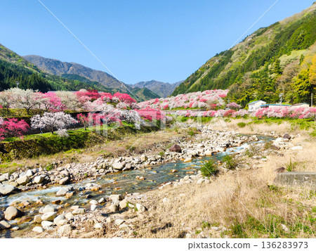 Hanamo no Sato Hanamo no Sato 136283973