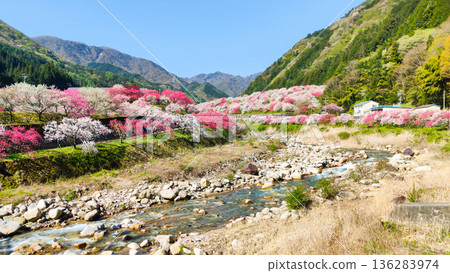 Hanamo no Sato 136283974