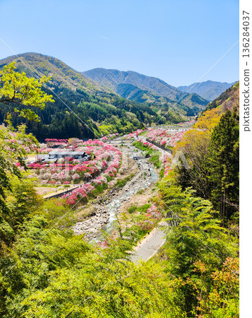 Hanamo no Sato 136284037