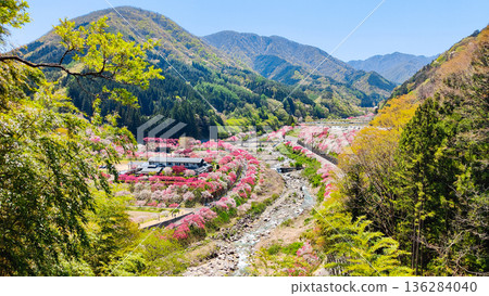 Hanamo no Sato Hanamo no Sato 136284040