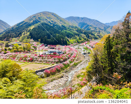 Hanamo no Sato Hanamo no Sato 136284041
