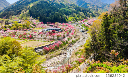 Hanamo no Sato Hanamo no Sato 136284042