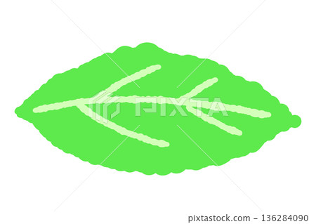 Mint illustration. Stylish hand-drawn mint line drawing material Mint illustration. Stylish hand-drawn mint line drawing material 136284090
