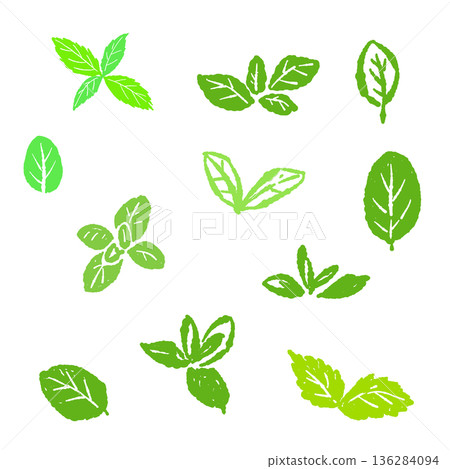 薄荷插圖。時尚的手繪薄荷線條畫素材。 136284094