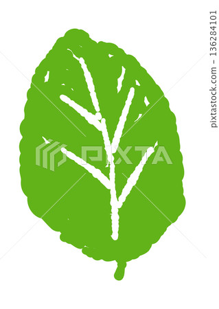 薄荷插圖。時尚的手繪薄荷線條畫素材。 136284101